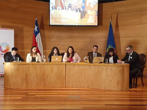 panel acceso a la justicia